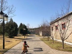 -前小桔亲子创意农场·草莓采摘·露营烧烤