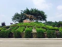 -自贡恐龙博物馆