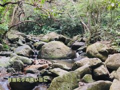 -梧桐山风景名胜区