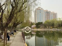 -团结湖公园