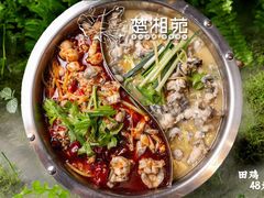 -楚湘苑(商品街大道店)