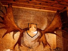 -秃鹫湾·推理大师沉浸式实景演绎推理剧场