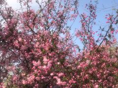 -祥源·阜阳生态乐园