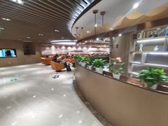 -青岛胶东国际机场