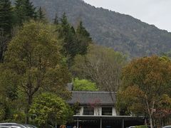 -天目山大树王景区