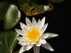 -长广溪湿地公园