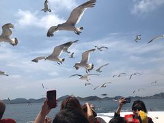 -海驴岛(荣成市)