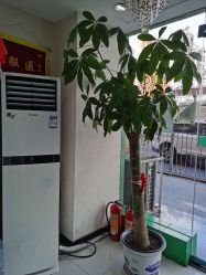 -苗医生专业祛痘·皮肤管理