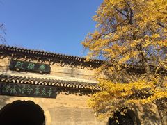 -灵谷景区