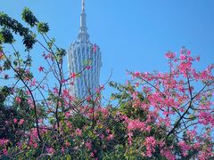 -海心沙亚运公园
