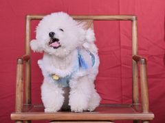 -星光摄影器材城