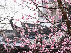 -敬亭山风景名胜区