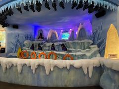 -帝企鹅自助餐厅•儿童岛•真企鹅(长隆企鹅酒店)