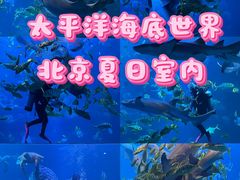 -太平洋海底世界