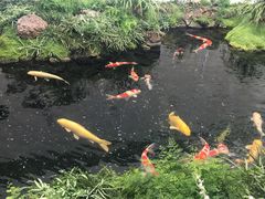 -罗红摄影艺术馆