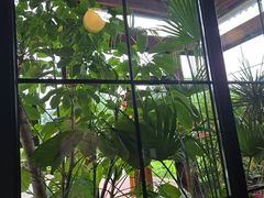 -普兰达德国餐厅·德式脆皮烤猪肘·自酿啤酒(观唐店)