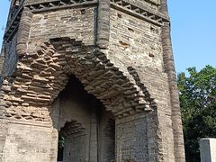 -上海佘山国家森林公园天马山园