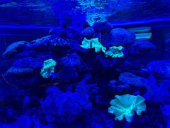 -上和臻品中国菜(花园街店)