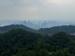 -大金鹰园