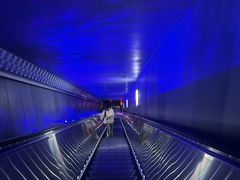 -白鹤梁水下博物馆