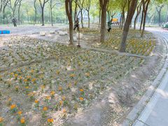 -绿堤公园