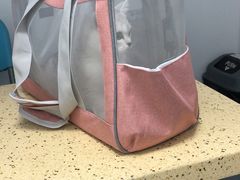 -睿金宠物医院·CT·肿瘤·骨外科