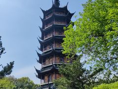 -红梅公园