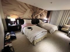 -国家会议中心大酒店