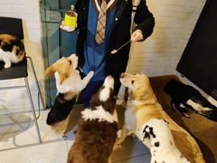 -萌喵咖啡屋(人民东路4号口M16商铺店)