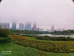 -万绿园