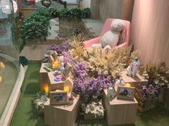 -藦茜花园宠物主题亲子互动体验馆(国顺东路店)