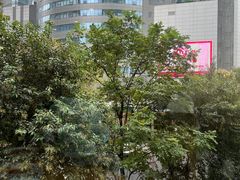 -萨莉亚意式餐厅(石鼓路店)