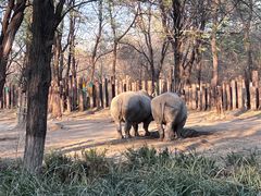 -北京野生动物园