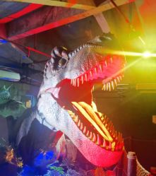 -恐龙探索乐园(磁器口店)