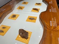 -中国沉香文化博物馆