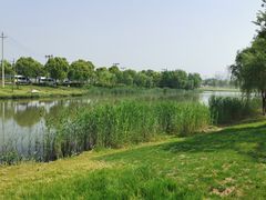 -贡湖湾湿地公园