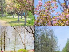 -苏州东太湖生态园