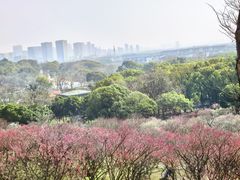 -无锡梅园公园