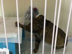 -美联众合动物医院·24h京西诊疗中心