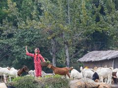 -禅宗少林·音乐大典