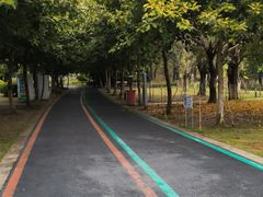 -琅岐红光湖公园