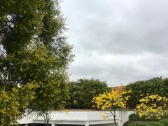 -华南理工大学(大学城校区)