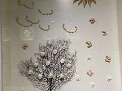 -青岛贝壳博物馆