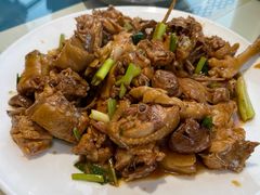 现杀果园鸡—黄焖鸡-生态苑农庄(十里画廊遇龙河店)