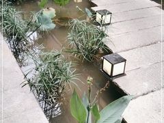 -嘉缤苑