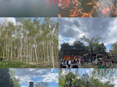 -长春市南湖公园