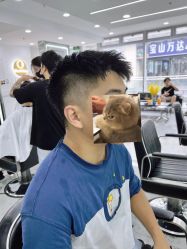 -Coo Hair salon