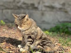 -宝通禅寺