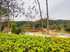 -神光山国家森林公园