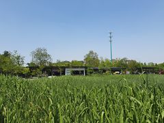 -昆山城市生态森林公园